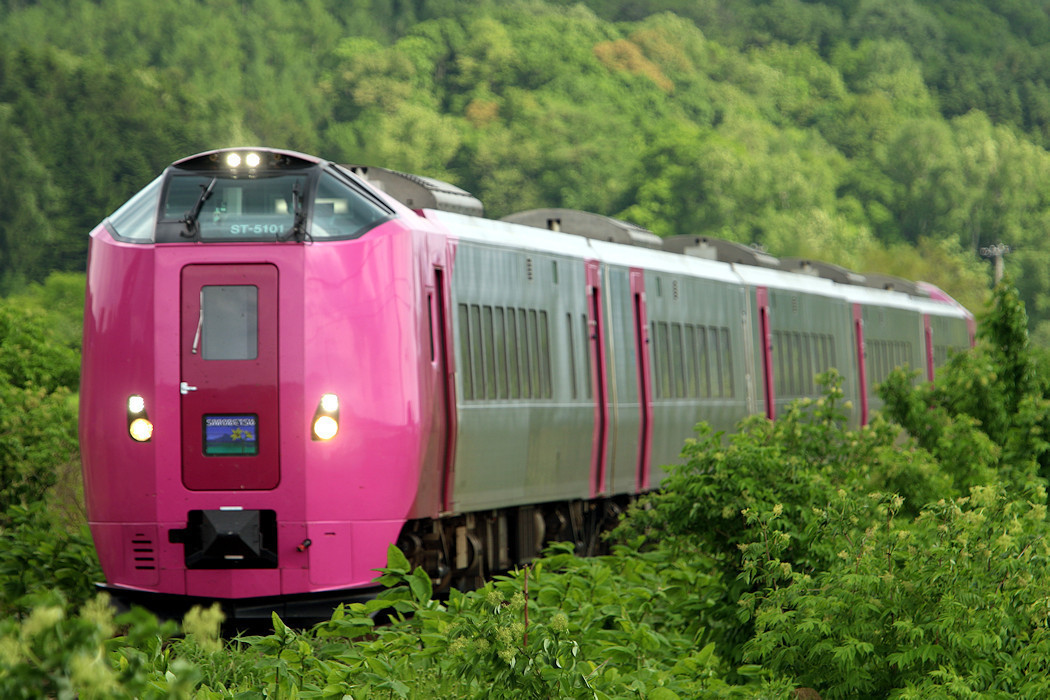 鉄道サボ 愛称板】（表）宗谷 SŌYA（裏）無地